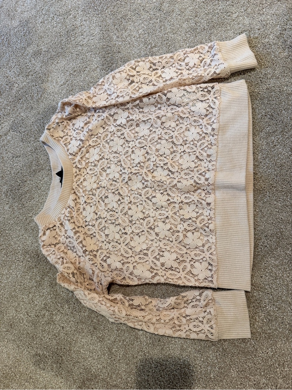 Forever 21 Blush Lace Crewneck Sweater